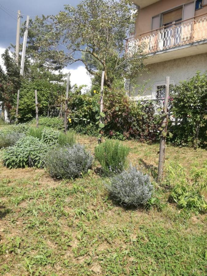 B&B Nel Verde Montesano sulla Marcellana Εξωτερικό φωτογραφία