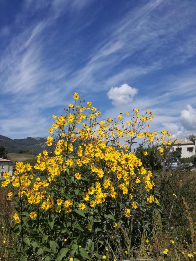 B&B Nel Verde Montesano sulla Marcellana Εξωτερικό φωτογραφία