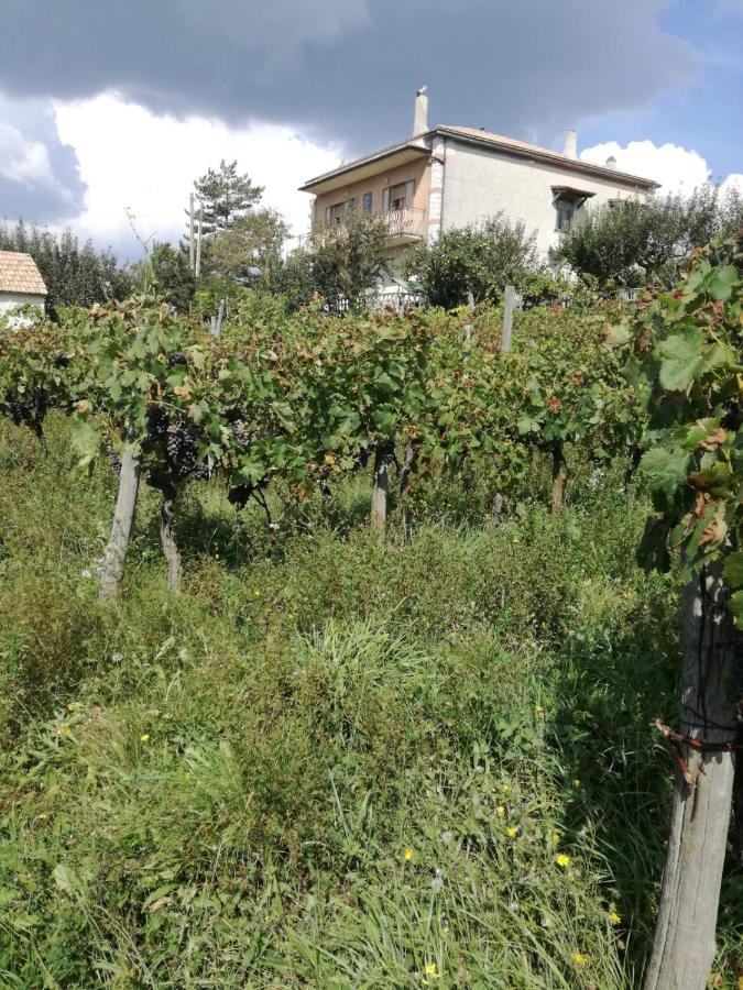 B&B Nel Verde Montesano sulla Marcellana Εξωτερικό φωτογραφία
