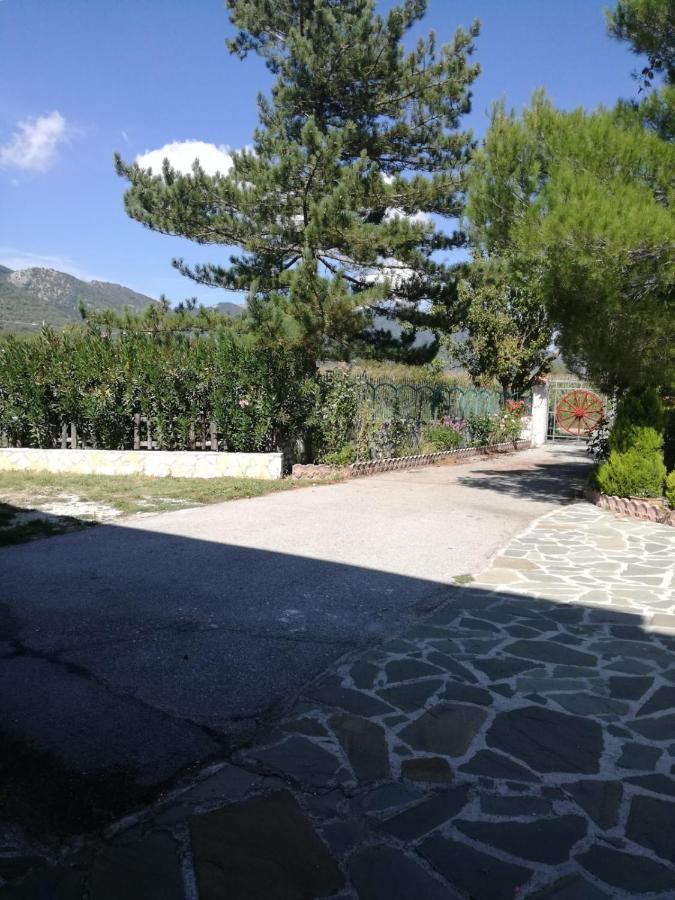 B&B Nel Verde Montesano sulla Marcellana Εξωτερικό φωτογραφία