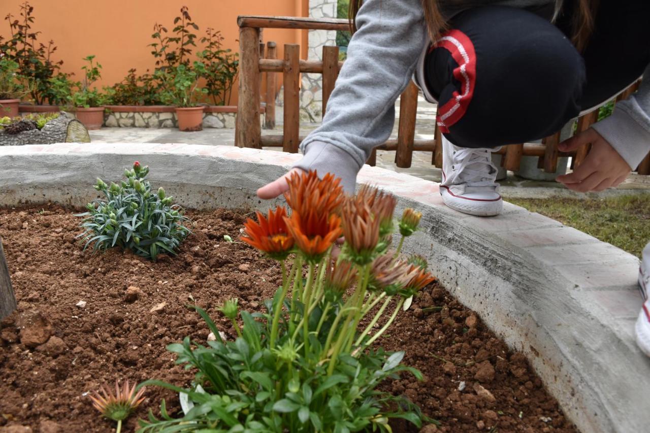 B&B Nel Verde Montesano sulla Marcellana Εξωτερικό φωτογραφία