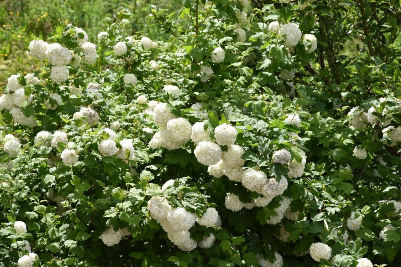 B&B Nel Verde Montesano sulla Marcellana Εξωτερικό φωτογραφία