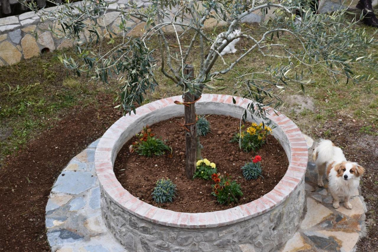 B&B Nel Verde Montesano sulla Marcellana Εξωτερικό φωτογραφία