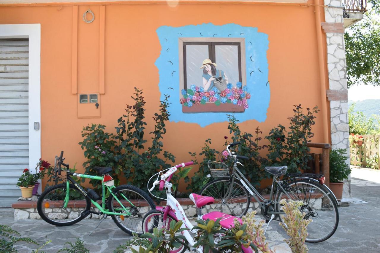 B&B Nel Verde Montesano sulla Marcellana Εξωτερικό φωτογραφία
