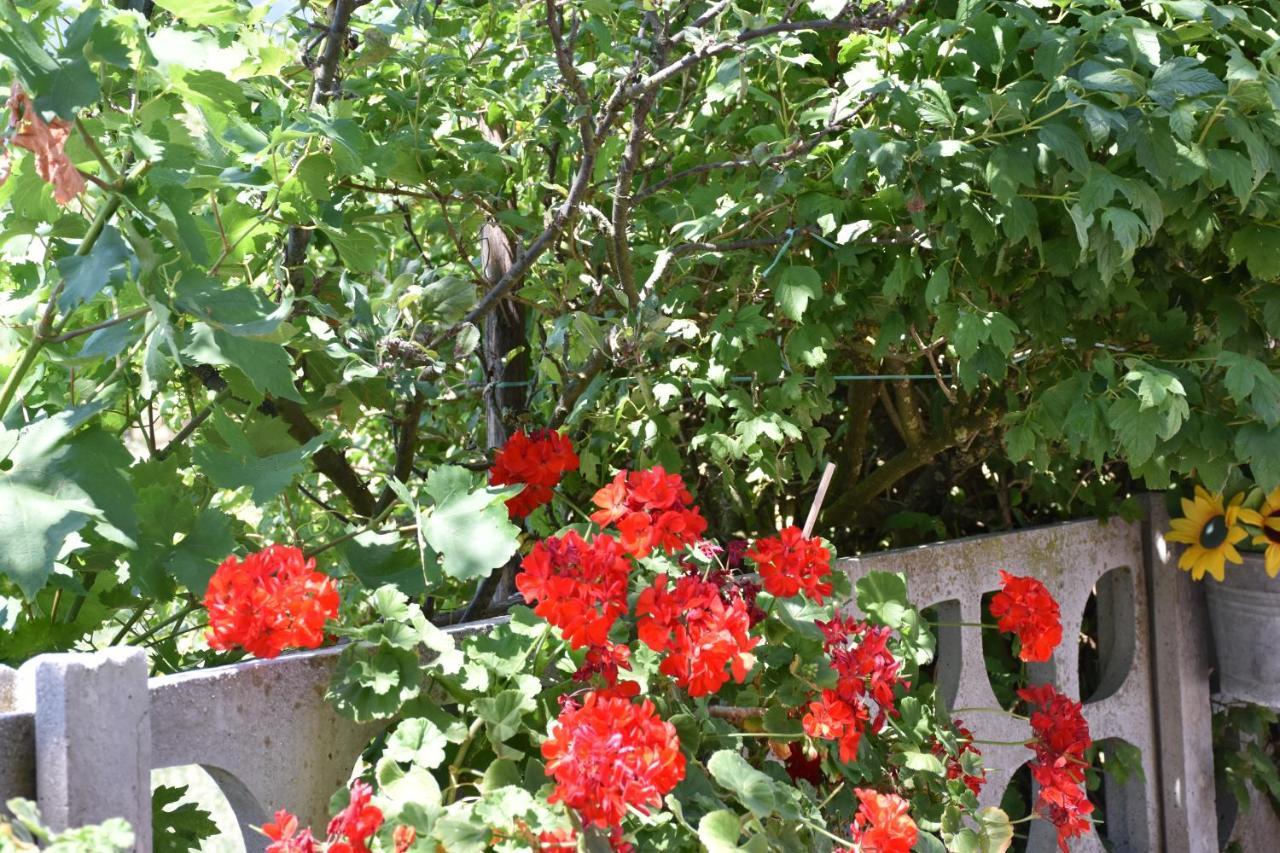 B&B Nel Verde Montesano sulla Marcellana Εξωτερικό φωτογραφία